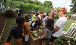 Saint-Pierre : l'école Benjamin Moloise installe un potager dans la maison de quartier de Pierrefonds