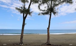 plage Etang-Salé
