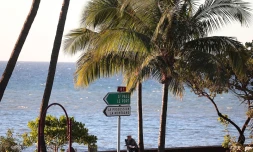 météo réunion 