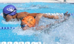 Natation