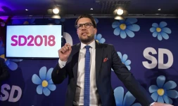 Jimmie Åkesson, des Démocrates de Suède (anti-immigration), s'exprime devant ses partisans à Stockholm le 9 septembre après les élections législatives.