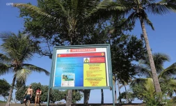 surf et baignade 