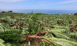 Garance : La Réunion, l'île en phase de sauvegarde