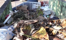 Spots dédiés au dépôt d'ordures dans les quartiers : une mauvaise idée pour Band Cochon 