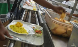 cantine scolaire 