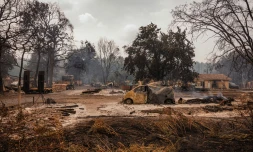 Dans un hall du parc des expositions de Bordeaux qui accueille des personnes évacuées en raison des incendies, le 25 juillet 2026 à Bordeaux