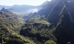route de Cilaos 