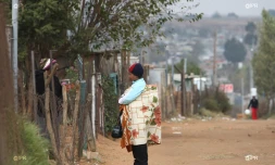Afrique du sud