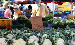 marché forain 