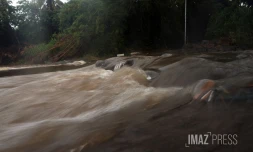 Perturbations tropicales 