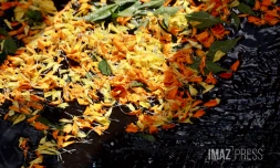 Cavadee : les fidèles célèbrent le dieu tamoul Muruga à Saint-Paul