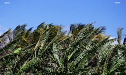 Météo Réunion 