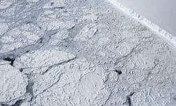 La banquise de l'Antarctique a atteint sa surface maximale pour l'année, et celle-ci n'a jamais été aussi petite depuis le début des relevés scientifiques ( Getty / MARIO TAMA )