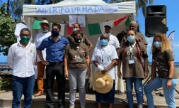 Zangoun servis Saint-Paul