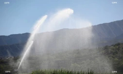 irrigation  canne à sucre 