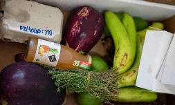 Distribution de paniers fraîcheurs : retour en image