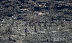 Saint-Paul : le feu a dévasté la végétation du Cap Lahoussaye