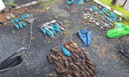 Braconnage nocturne : près de 80 kg de poissons et de crustacés saisis dans la réserve naturelle marine