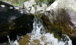 eau 