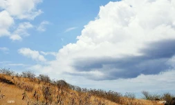 météo réunion 