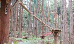 Un nouveau parc d’accrobranche au cœur du Maïdo