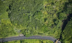 Route 
