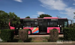 Bus Alternéo 