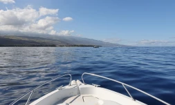 bateau 