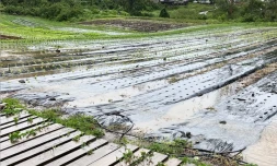 dégâts Trois-Mares