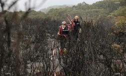 Pompiers incendie du Maïdo 10 novembr 2020