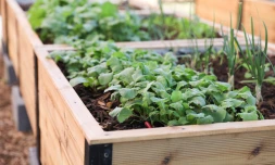  Saint-Denis : inauguration d’un jardin nourricier au Butor 