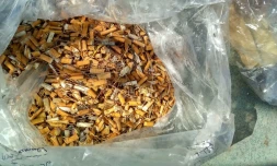 Plus de 4000 mégots ramassés par l'association Cetanou