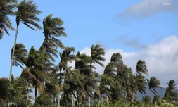 météo réunion 