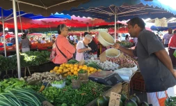 Sac réutilisable au marché forain