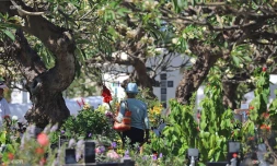 Toussaint cimetières 