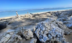 plage tourisme  vacances 