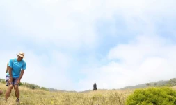 Balade créative dans la Plaine des Cafres