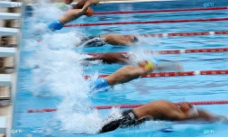 Natation