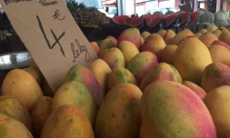 Mangues, après Carlos