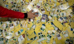 Les dessins animés japonais et tous leurs produits dérivés sont trÚs appréciés des jeunes réunionnais