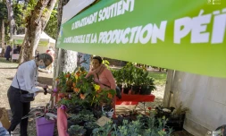 Le Département organise un marché Péi au Jardin de l'Etat
