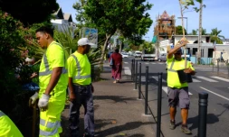 Saint-Paul : la rue Saint-Louis se végétalise