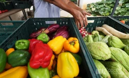 précarite alimentaire 