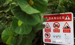 panneau sécurité plage 