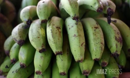 pénurie de banane 