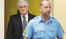 L'ancien chef politique des Serbes de Bosnie Radovan Karadzic,  au TPIY à La Haye, le 11 juillet 2013