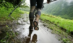 Courses aventure 