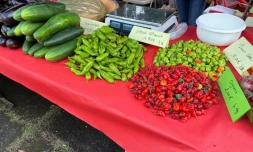 Marché paysan Sainte-Anne à Saint-benoît