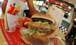hamburger