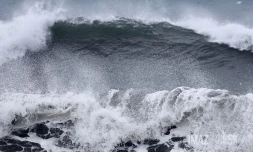 Houle - Saint-Paul - Février 2026